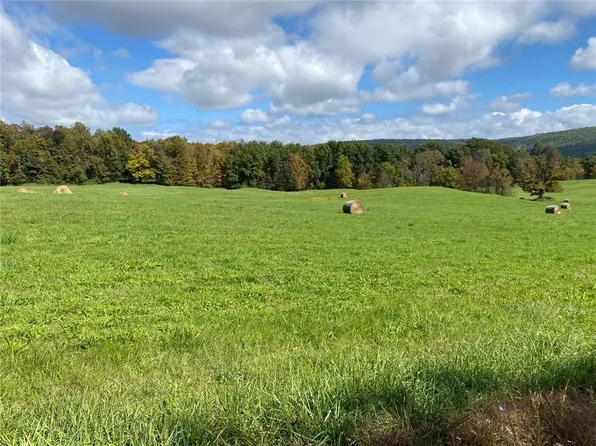 0 Van Buskirk Gulf Rd, Newfield, NY 14867