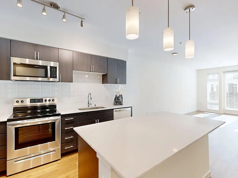 Apartment Kitchen with Stainless Steel Appliances and Wood-Style Flooring.