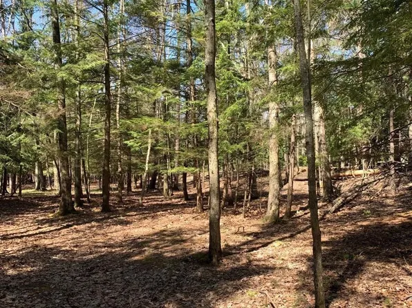 0 Forest Haven Dr Lot 9, Glen Arbor, MI 49636