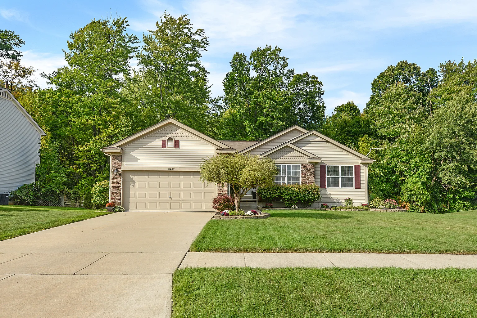 11229 Anya Dr photo 1