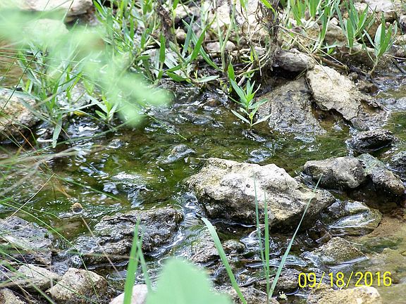 3rd image of Tbd Wortham Bend Rd
