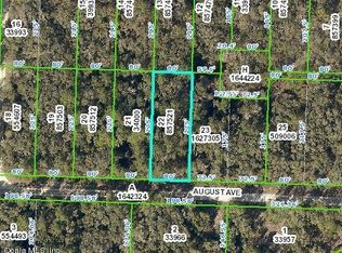 August Ave, Webster, FL 33597