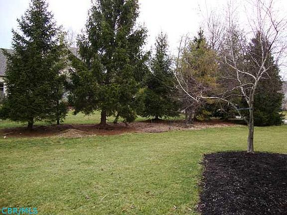 3rd image of 1071 Bayboro Dr