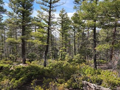 Lot 6070 Vreeland Road, San Luis, CO, 81152