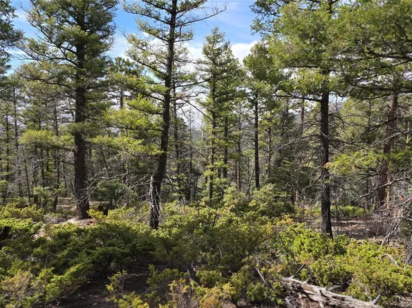 Lot 6070 Vreeland Road, San Luis, CO 81152