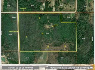 8266 Dekruif Rd, Levering, MI 49755
