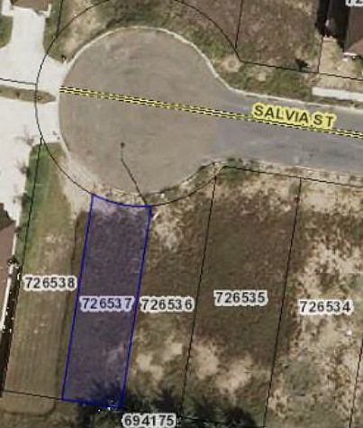 1st image of 1513 Salvia St