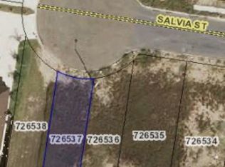 1513 Salvia St, Pharr, TX 78577