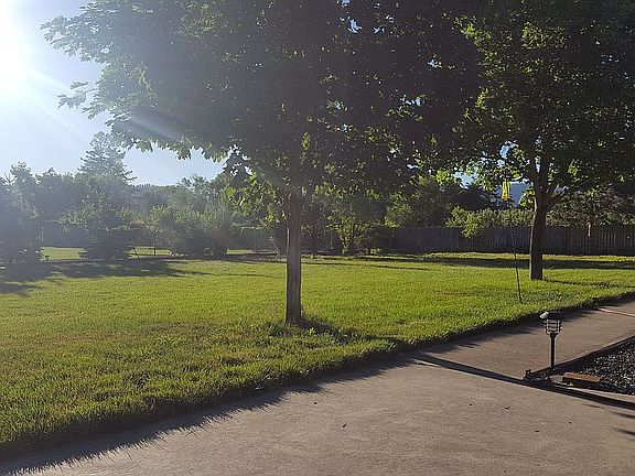 Back yard