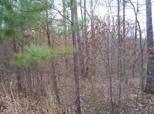 Skull Shoals Rd, Washington, GA 30673