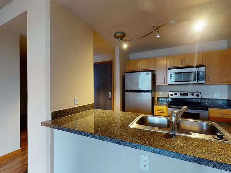 Apartment kitchen with stainless steel appliances, granite countertops and wood-style flooring.