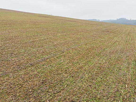 5th image of 3967 Crooked Run Rd NW