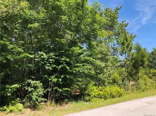 7701 W Pedersen Loop, Homosassa, FL 34446