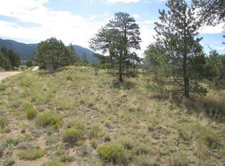 11744 Jackson Rd, Lake George, CO 80827