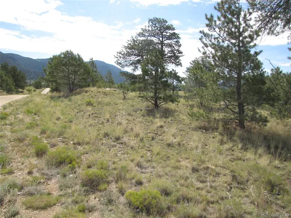 11744 Jackson Road, Lake George, CO 80449