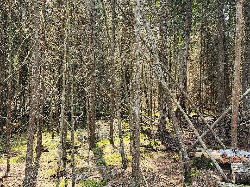 2nd image of 3 W Shiawassee Trl