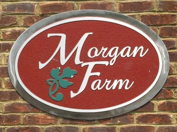117 Clear Mountain Trl, Greeneville, TN 37745