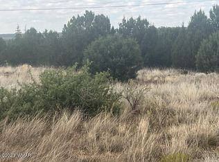 8422 Navajo Dr, Show Low, AZ 85901