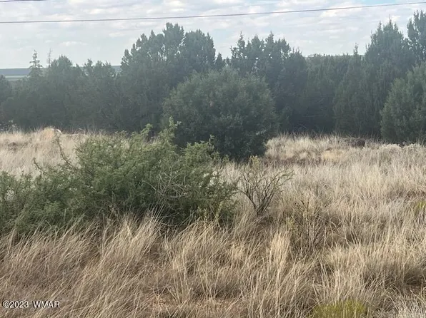 8422 Navajo Dr, Show Low, AZ 85901