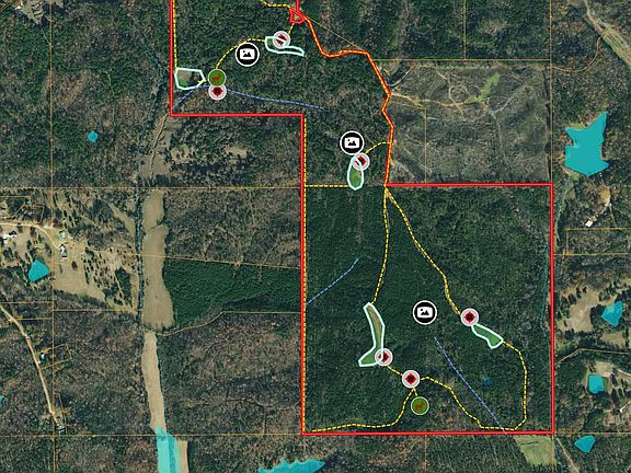 3rd image of Tuscumbia Rd