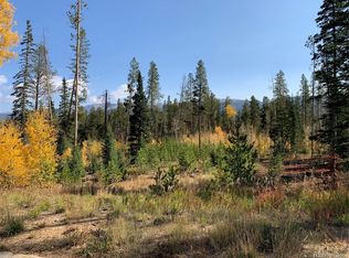 762 Leland Creek Cir, Winter Park, CO 80482