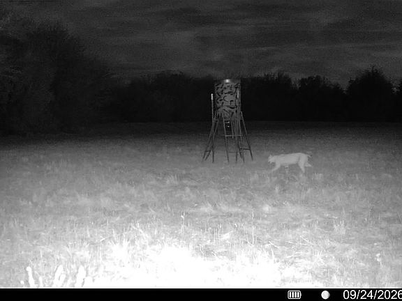 5th image of 0 E Fm 71