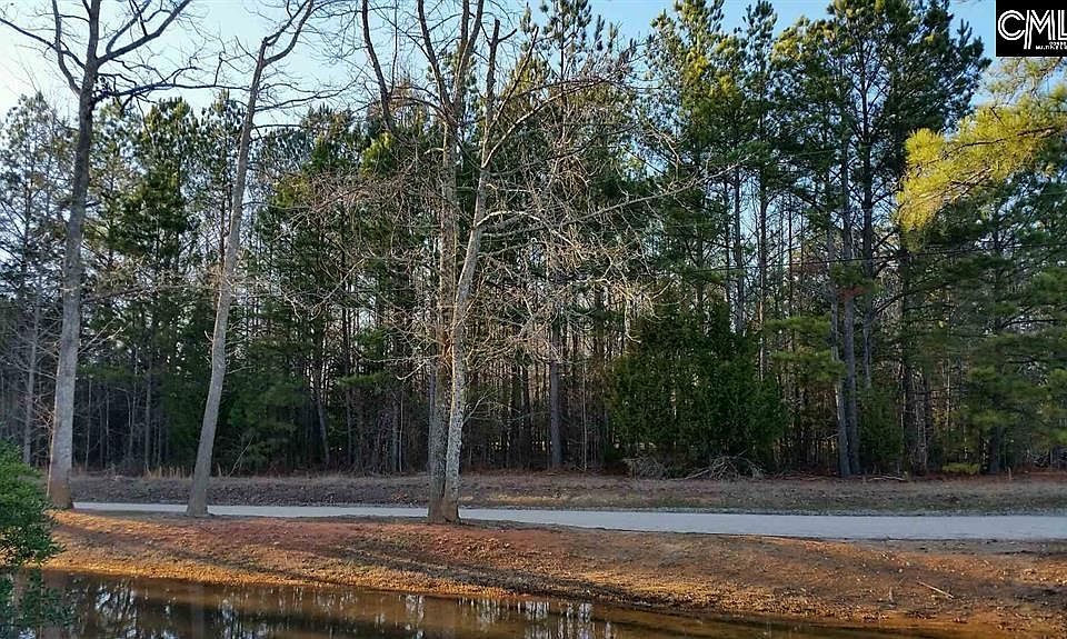 2nd image of Chapin Road
