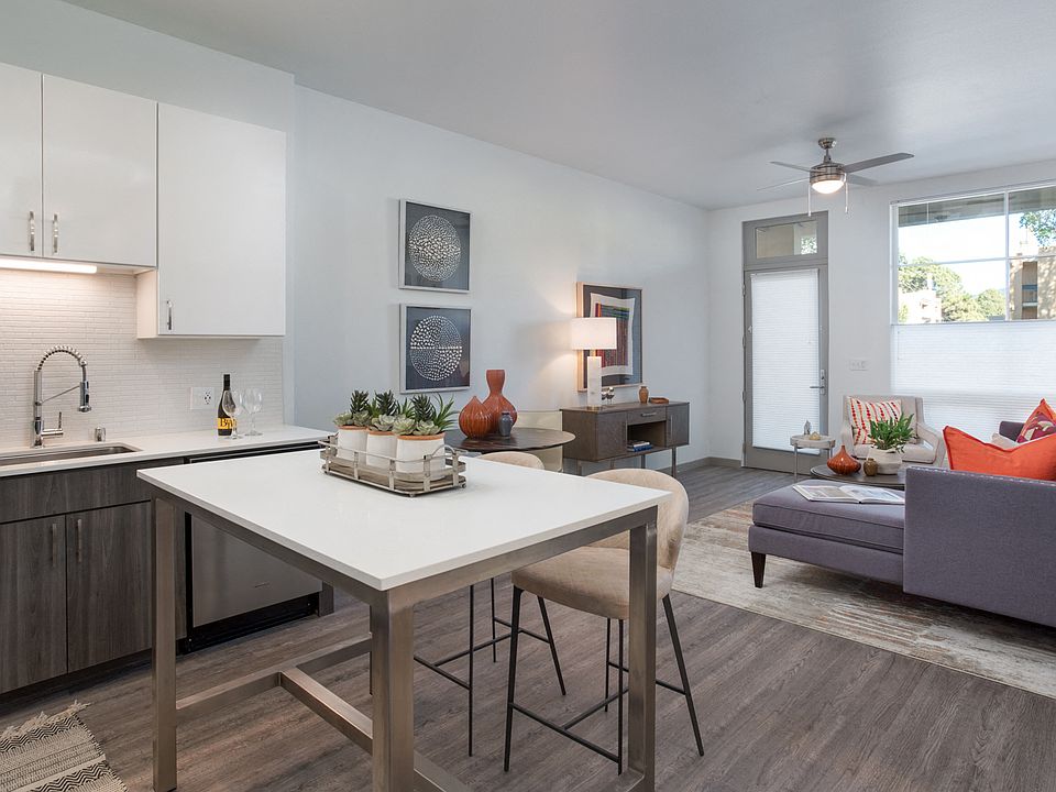 Open concept kitchen and living area