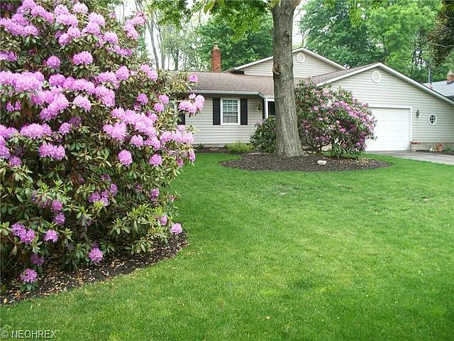 8207 Comet Ct photo 1