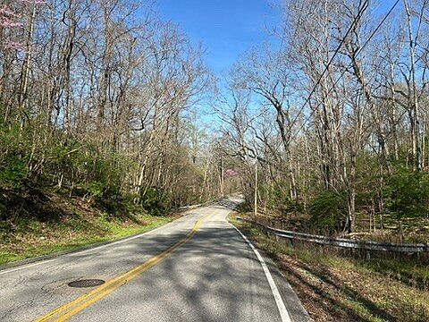 3rd image of 4921 Gann Store Rd