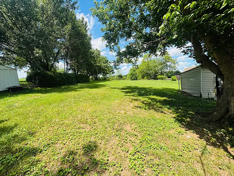 Beautiful big spacious back yard