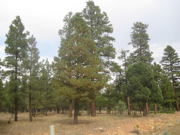 2nd image of 5090 Starlight Dr