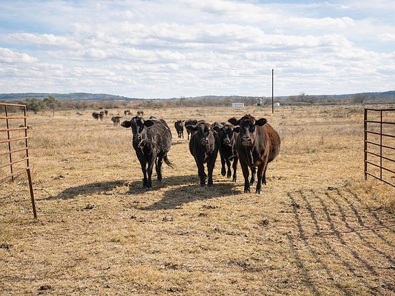 2nd image of Timber Ridge Timber Ridge Rd