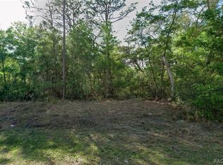10830 N Hatari Dr, Citrus Springs, FL 34434