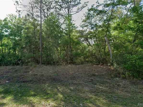 10830 N Hatari Dr, Citrus Springs, FL 34434