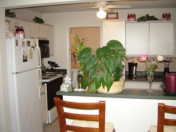 Kitchen View 2