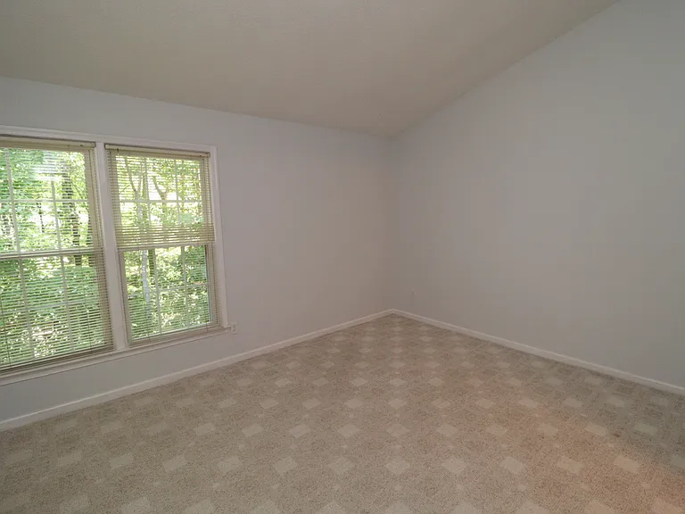 240 Beechtree Dr — Photo 19