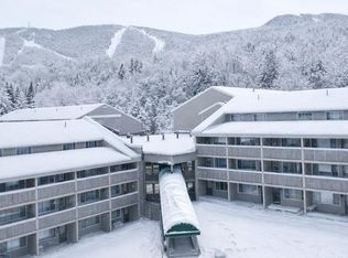 8 Fall Line Drive #N211, Newry, ME 04261