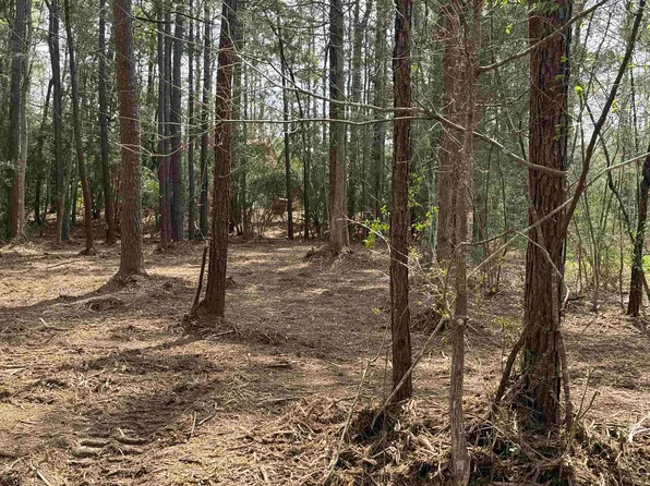 87 Pinehurst Dr, Brookeland, TX 75931