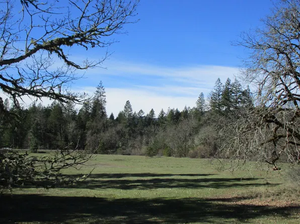 Laurel Road 1104 #Tl, Cave Junction, OR 97523