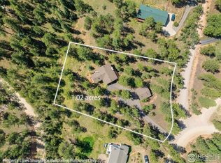 11744 S Stallion Dr, Pine, CO 80470