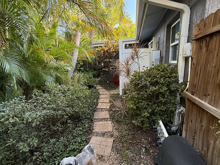 Tropical private back yard