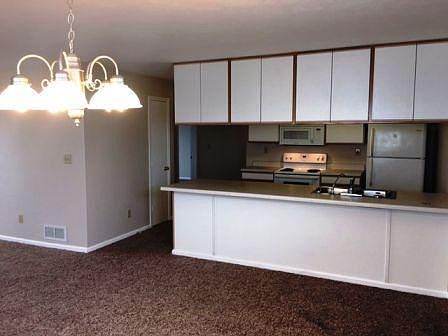 4th image of 7438 Shillington Dr