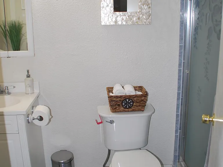 Downstairs bathroom with shower