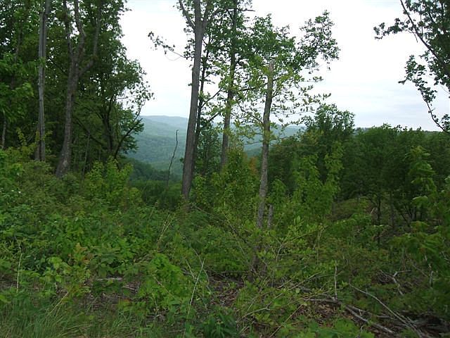 1st image of Bear Knob Ln #40
