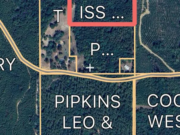 214 Forest Lake Rd, Beaumont, MS 39423