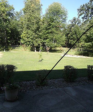5th image of 3138 Oak Dr