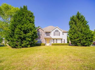 11030 Mansura Pl, Hampton, GA 30228