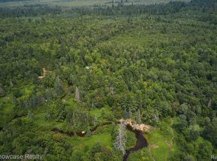 12581 Driggs River Rd, Seney, MI 49883