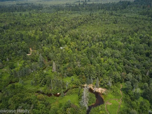 12581 Driggs River Rd, Seney, MI 49883